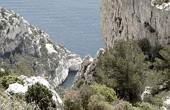 51 - 08 05 04 - La Gardiole - Candelle   - DSLR-A100